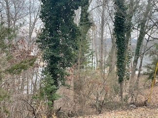Lots 49/50 Overlook Cir, North Shore, VA 24121