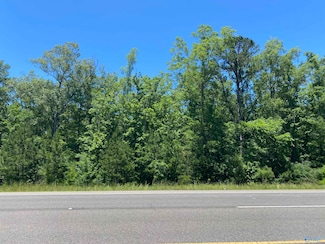 19 acres Goldenrod Ave, Gadsden, AL 35901