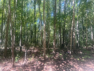 0 Barrington Hill Rd Unit 25-557, Fayetteville, WV 25840