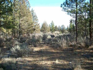 0 Oregon Pines Unit 100188833, Sprague River, OR 97639