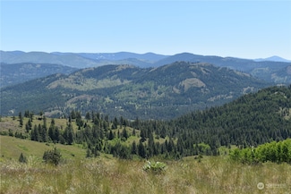 0 TBD Mc Quinn Rd, Malo, WA 99150