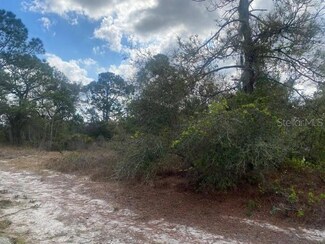 413 Sunshine Ave, Lake Placid, FL 33852