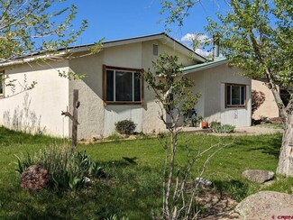 2 4th St, Paonia, CO 81428