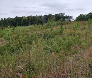0 Buffalo Heights Rd, Farmville, VA 23901
