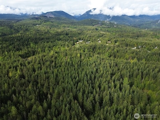 0 92+ ac O Brien Rd, Port Angeles, WA 98362