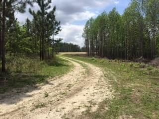 0 Georgia 125, Tifton, GA 31794