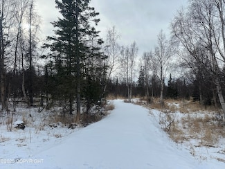 3910 N Vista Dr, Palmer, AK 99645