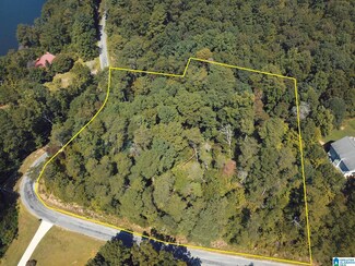0 Lakeshore Ln Unit 4 1323936, Oneonta, AL 35121