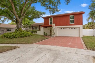6403 Brook Hollow Ct, Tampa, FL 33634