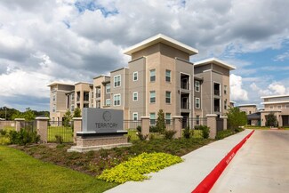 5131 Williams Way Blvd Unit E-1101, Richmond, TX 77469