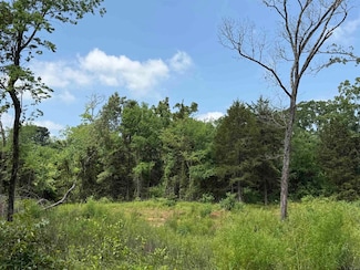 000 Vz County Road 4608, Ben Wheeler, TX 75754