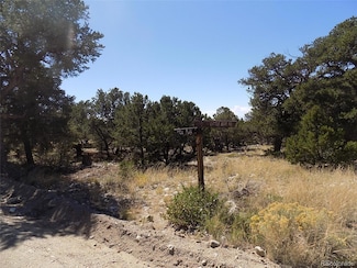 0 Little Bear Rd, Mosca, CO 81146