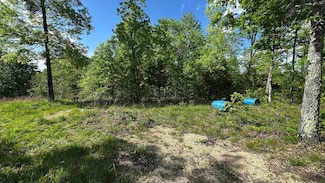 410 Hogg Hill Rd, Lobelville, TN 37097