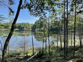 Lot A Red Spruce Way, Mount Desert, ME 04660
