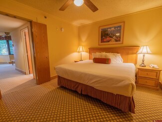 6 Emmons Rd Unit 555, Crested Butte, CO 81225