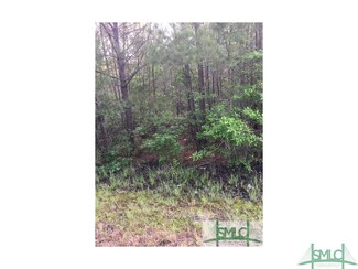 7750 Ga Highway 17 N, Newington, GA 30446