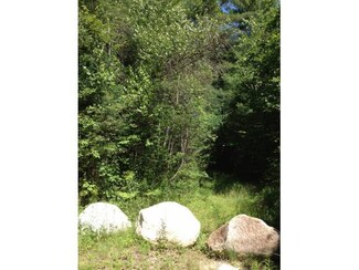 28 Pine River Rd, Effingham, NH 03882