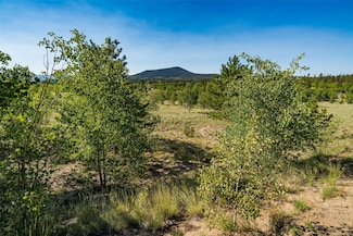 180 N Quarter Horse Rd, Como, CO 80456