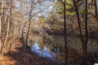 1684 Brookside Coalburg Rd, Mount Olive, AL 35117