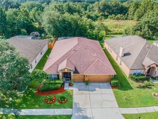 10513 San Travaso Dr, Tampa, FL 33647