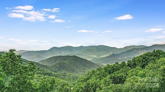 650 Freemont Dr Unit 81, Leicester, NC 28748