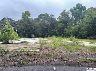 920 Collins St, Hartsville, SC 29550