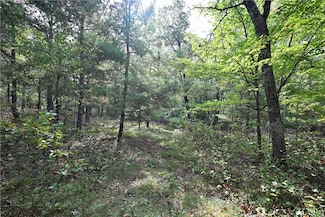 Lot 2 Dragon Dr, Minong, WI 54859