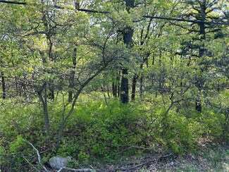 169 Sawmill Rd Unit 7020, Tunkhannock Township, PA 18334