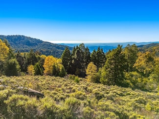 0 State Park Rd Unit NDP2511287, Valley Center, CA 92060