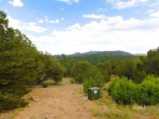 659 Coopers Canyon Rd, Westcliffe, CO 81252