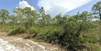 27095 Sumatra Dr, Punta Gorda, FL 33955