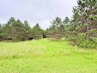 TBD Shelby Dr NE, Northern Township, MN 56601