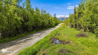 4052 N Alvin's Alley Ave, Wasilla, AK 99623