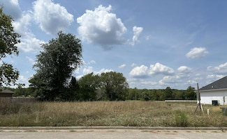 #19-5473 Anita Ave, Pleasant Hope, MO 65725