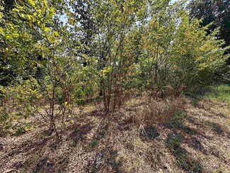 1302 & 1304 View Park Cir, Horseshoe Bend, AR 72512