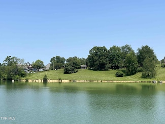 81 Wellington, Bristol, TN 37620