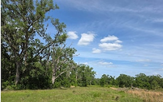 0 Tbd 129th Rd, Live Oak, FL 32060