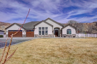 3644 White Lily Ave, Palisade, CO 81526
