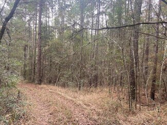 TBD Cr 2502, Quitman, MS 39360