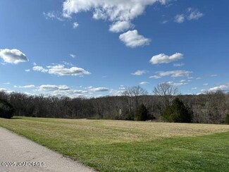 616 Whispering Cedars Ln, Jefferson Township, MO 65101