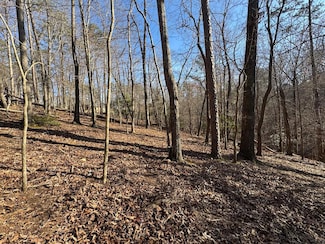 600 Jonquil Ln, Ellijay, GA 30540