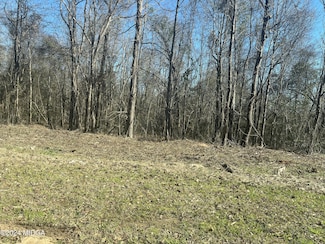 0 Riggins Mills Rd Unit 179911, Jeffersonville, GA 31044