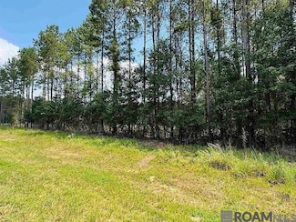 Lot 4 Louisiana 449, Pine Grove, LA 70453