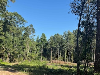 R37357 tract 3 N Highway 69, Zavalla, TX 75980
