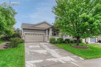 2741 Poplar Grove Place, Castle Rock, CO 80109
