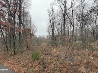 0 Collier Loop Unit 309318, Dandridge, TN 37725