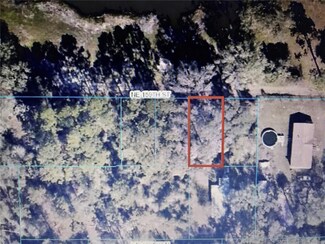 TBA NE 159th St, Fort Mc Coy, FL 32134