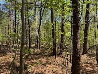 0 Lamon Chapel Loop, Jasper, AL 35503