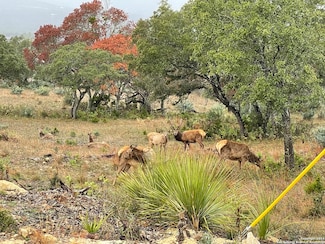 LOT 54 Blackbuck Trail, Pipe Creek, TX 78063