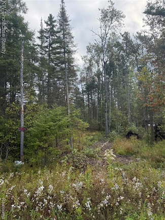 9191 Michigan 33, Avery Township, MI 49709